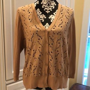 ✨Cable & Gauge camel open lace cotton front long sleeved knit cardigan sweater